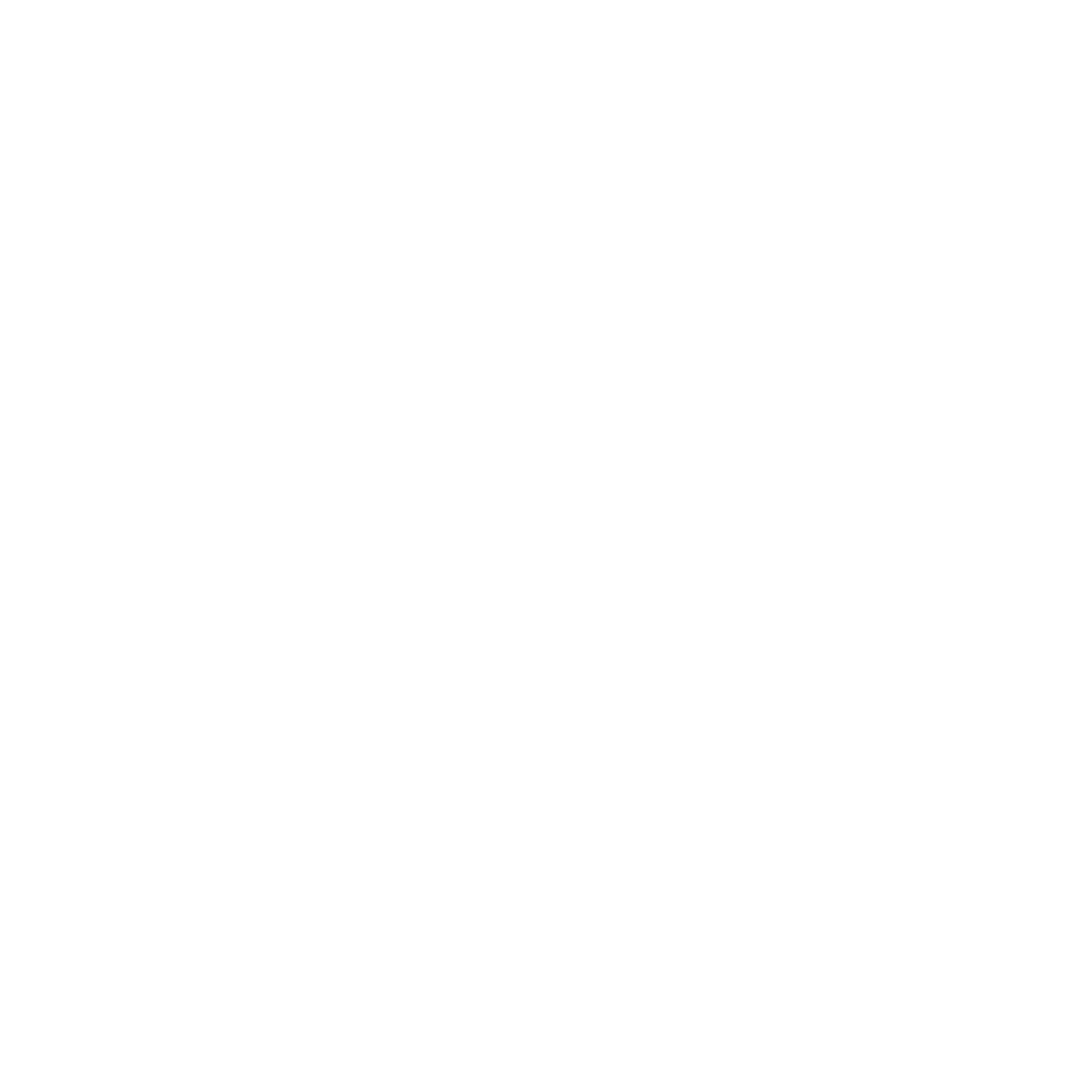 Seguridad
